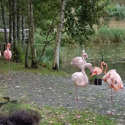 devakantiegids.nl