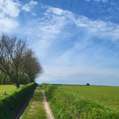 De Hoge Berg