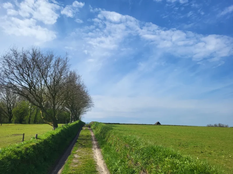 De Hoge Berg