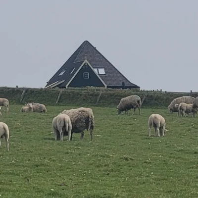 devakantiegids.nl