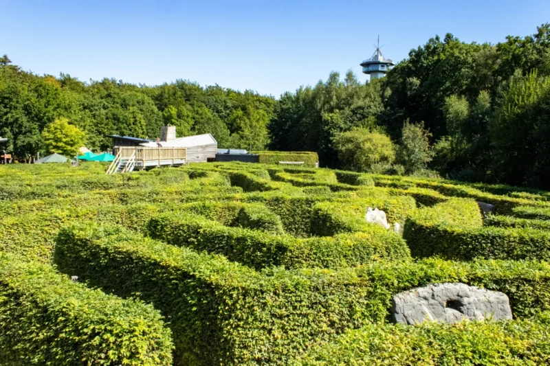 Labyrint Drielandenpunt
