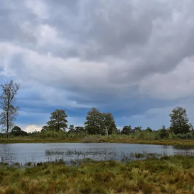 Nationaal Park Drents-Friese Wold