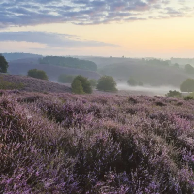 Nationaal Park Veluwezoom