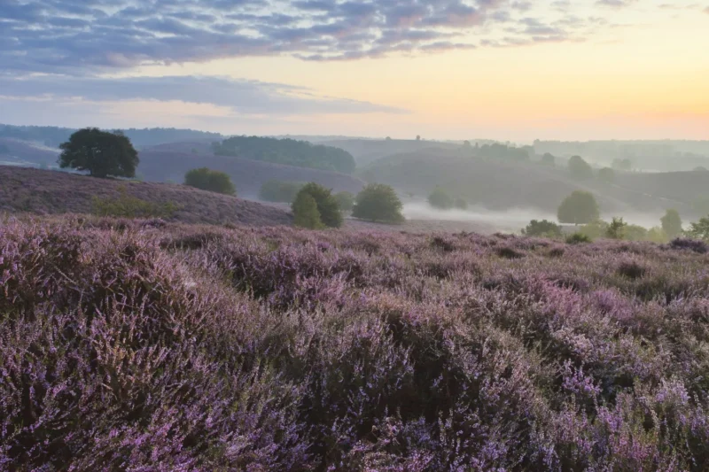 Nationaal Park Veluwezoom