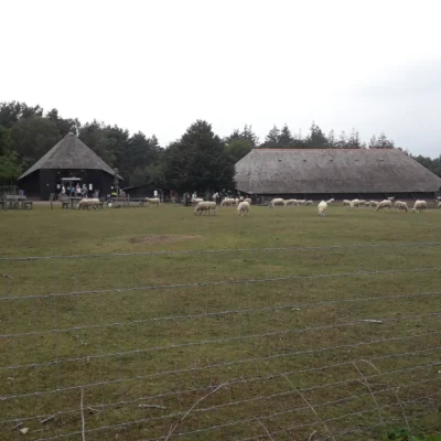 Schaapskooi Ermelo