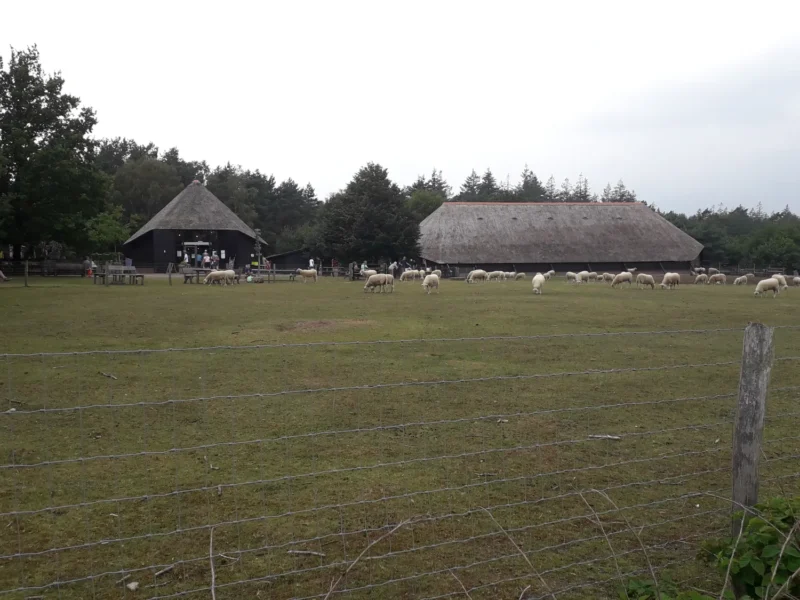 Schaapskooi Ermelo