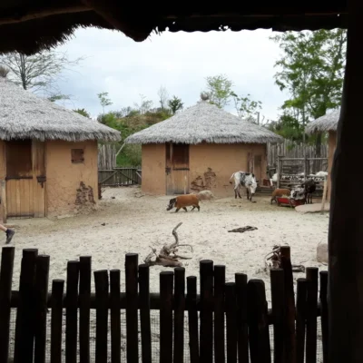 Serenga
