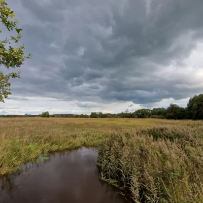 Toegangspoort ‘Wedbroeken’ Nationaal Park Drentsche Aa