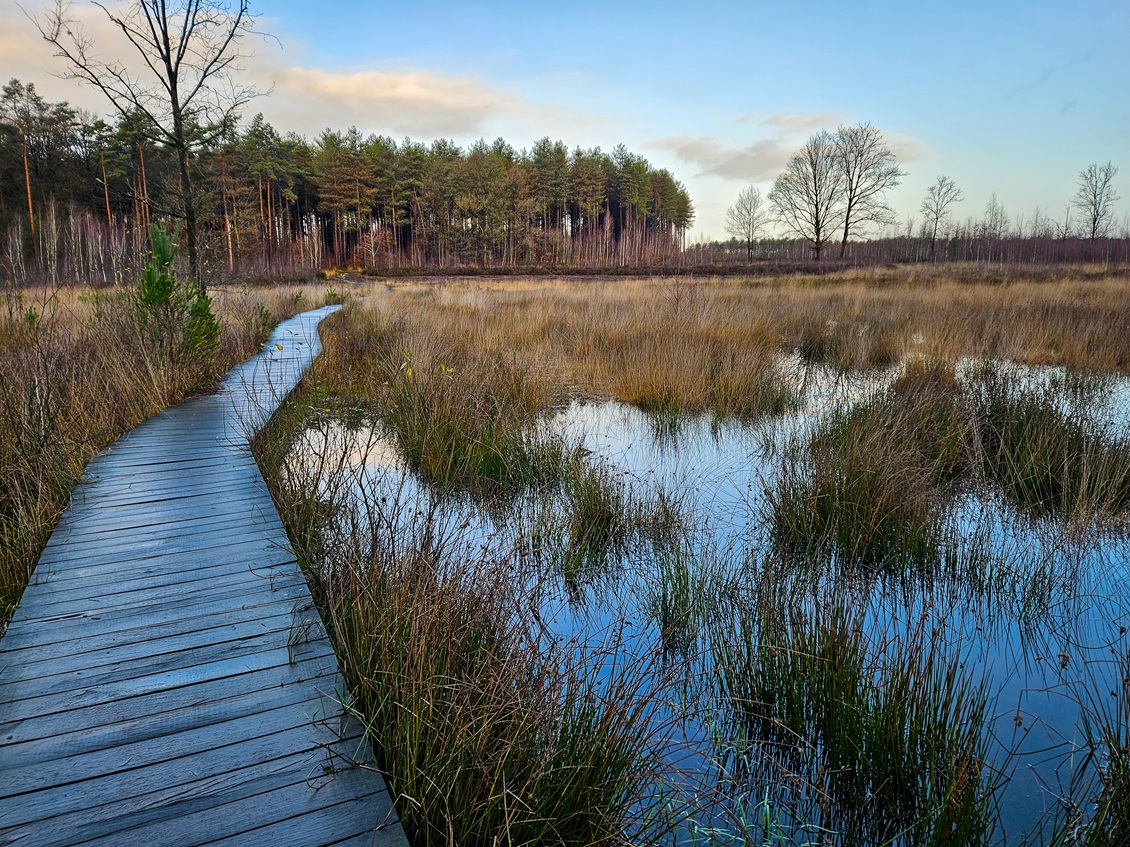 vlonderpaden Nederland met water