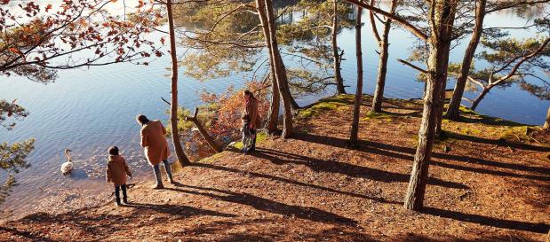 centerparcs 10-daagse