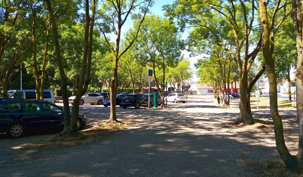 stadje thorn