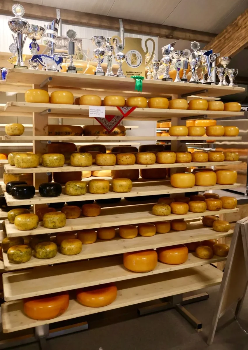 Boerderij Nellesteijn kaas