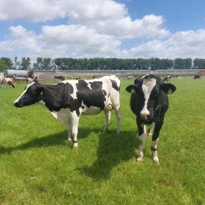 devakantiegids.nl
