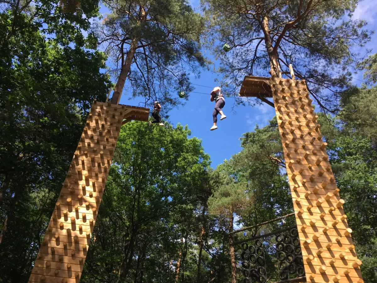 Veluwe Valley bos