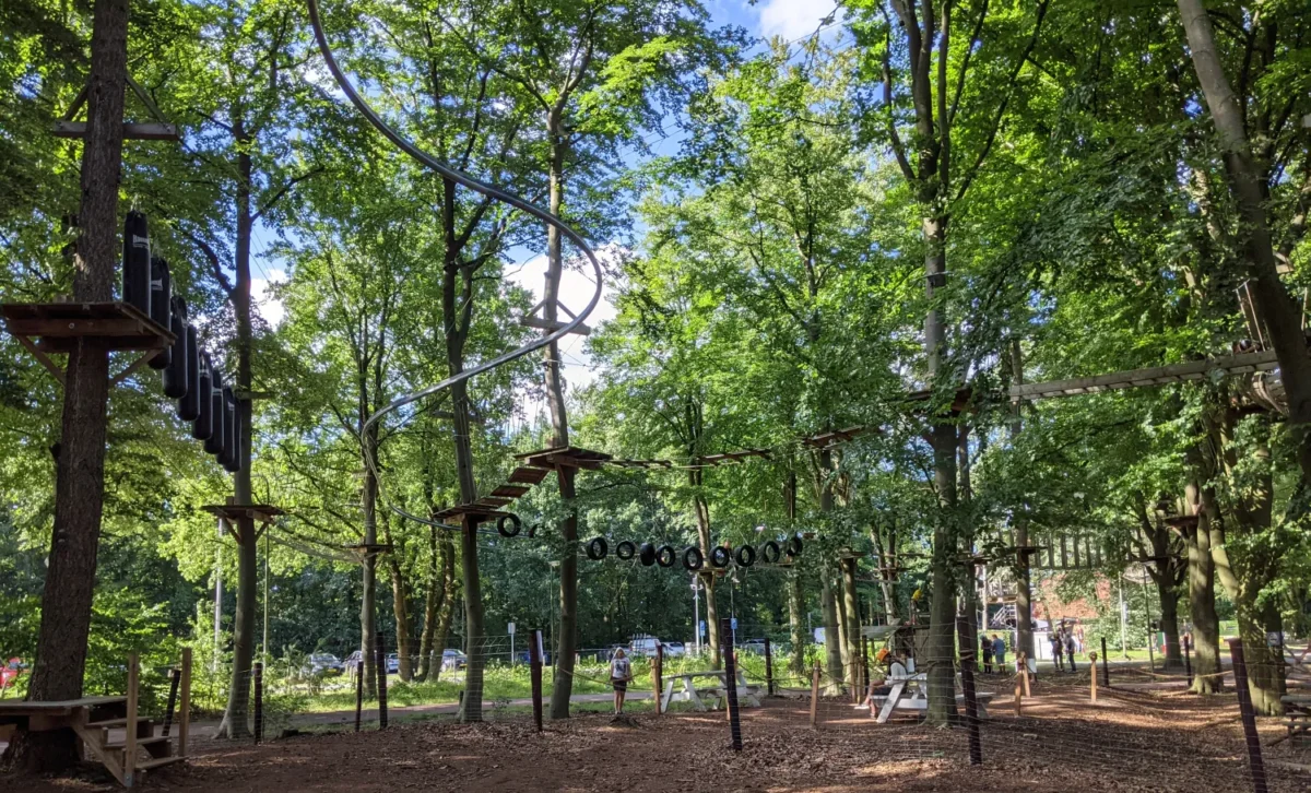 Klimbos Harderwijk bos