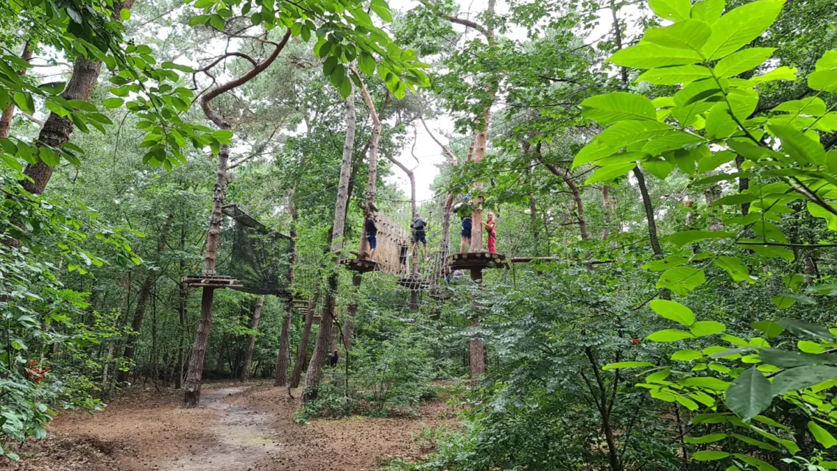 Klimrijk Brabant natuur