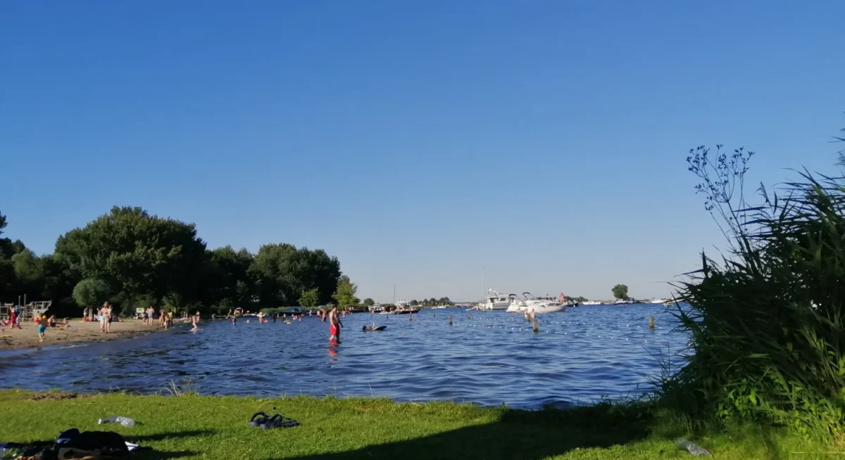 Koudenhoorn grasveld