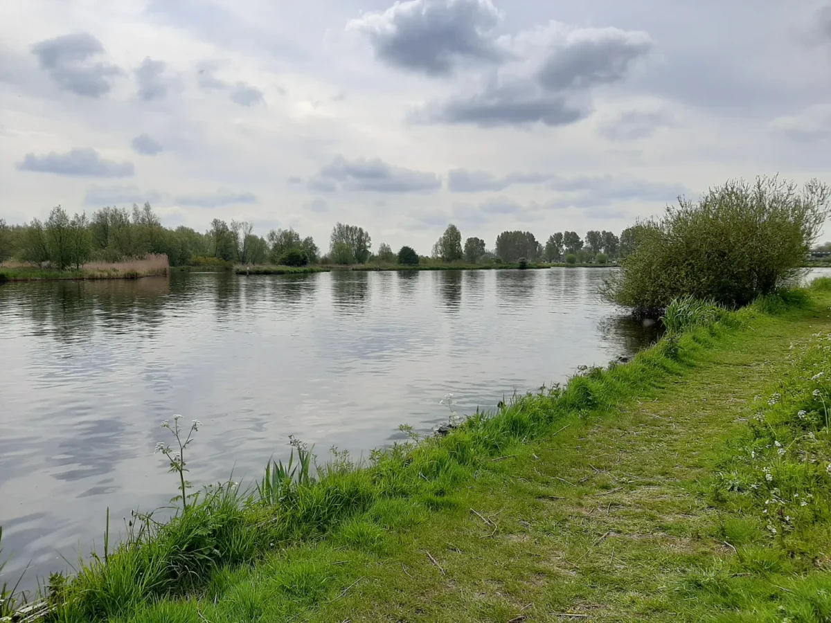 Koudenhoorn eiland