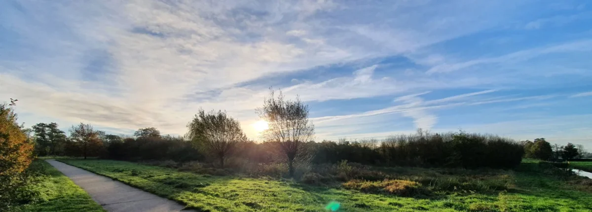 Kuzemerkooi Natuur