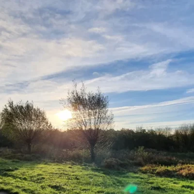 Kuzemerkooi Natuurgebied