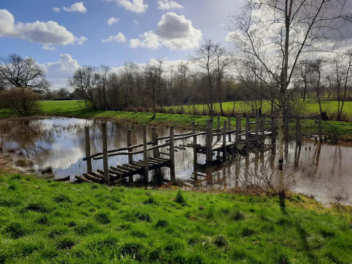 Kuzemerkooi Natuurgebied meer