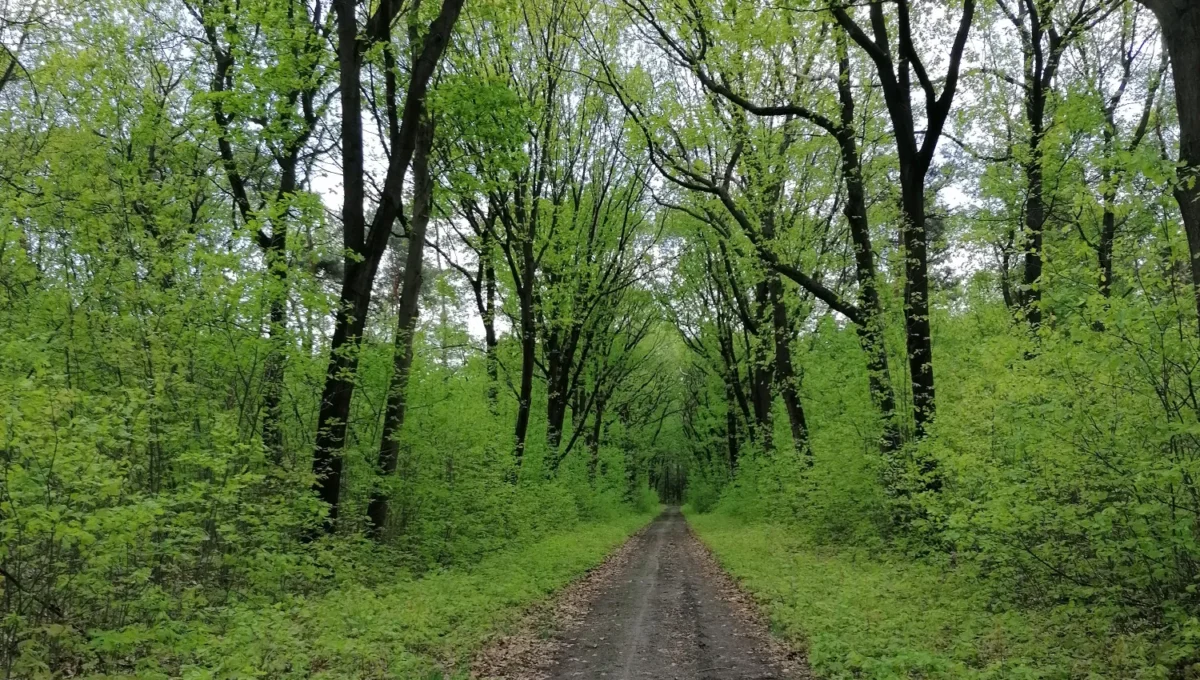 Wandelevenement Venray route