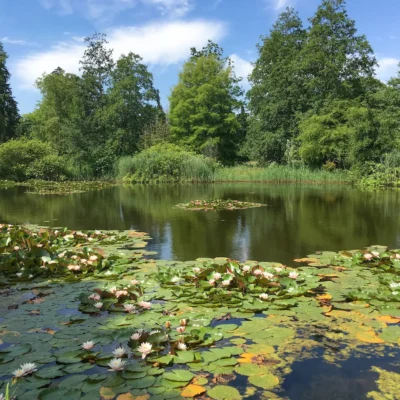 devakantiegids.nl