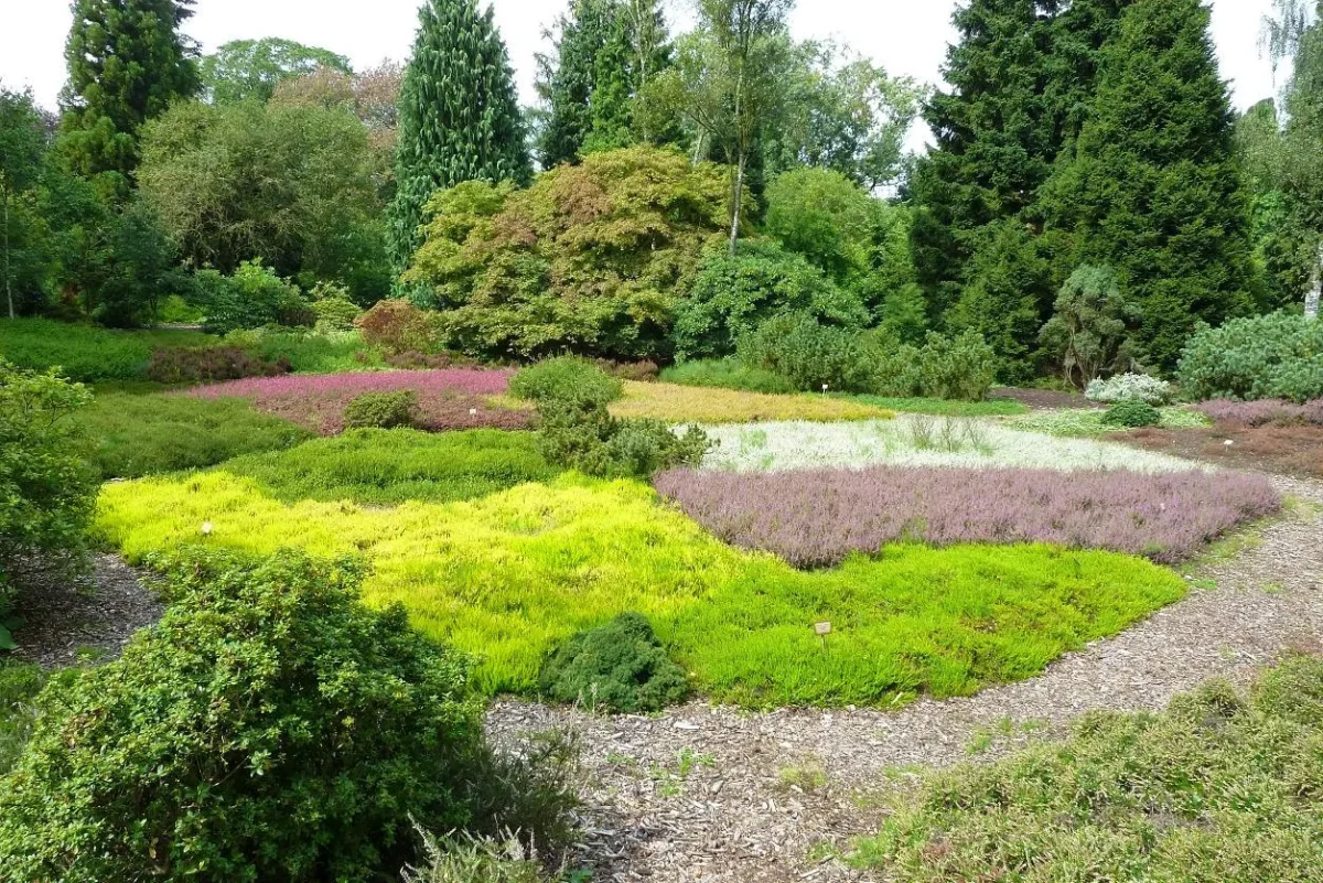 Nationaal Bomenmuseum tuin