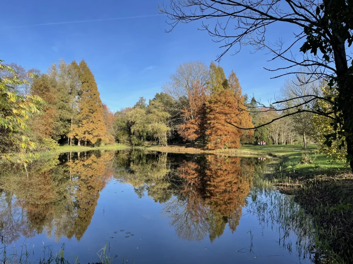 Nationaal Bomenmuseum herfst