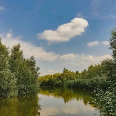Nationaal Park De Biesbosch
