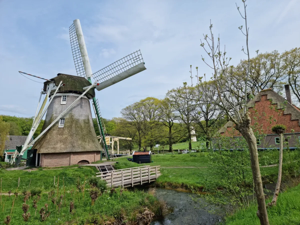 Nederlands Openluchtmuseum molen
