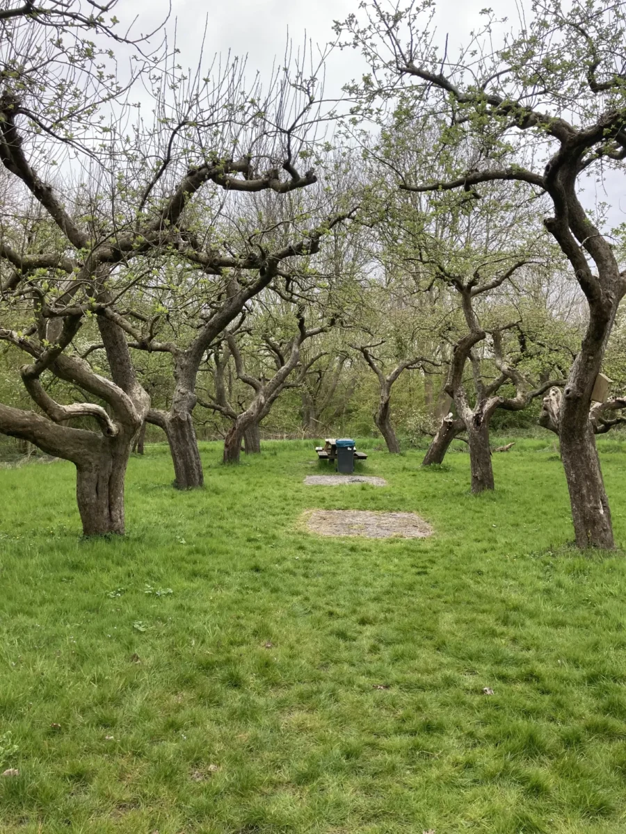 Paintball Spaarnwoude bomen
