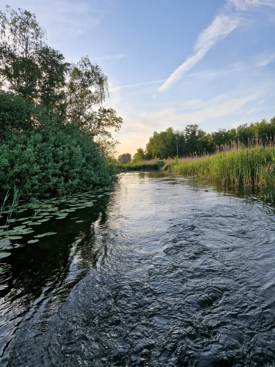 Nieuwkoopse plas