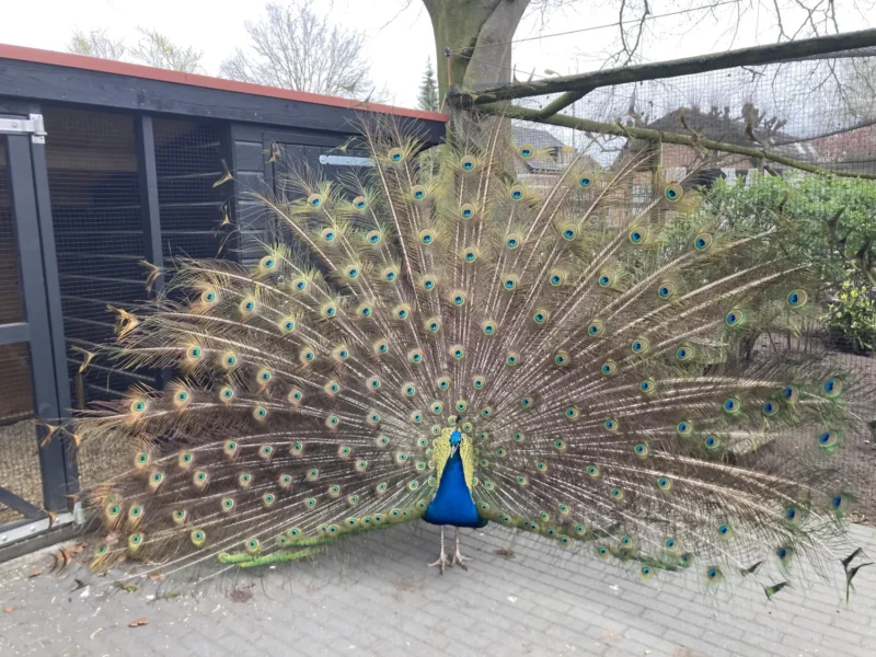Stadsboerderij De Vosheuvel