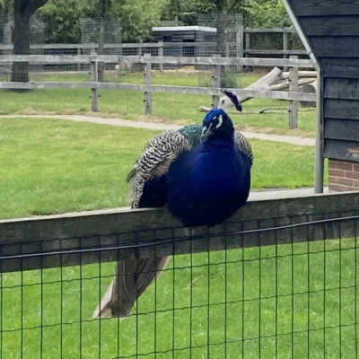 devakantiegids.nl