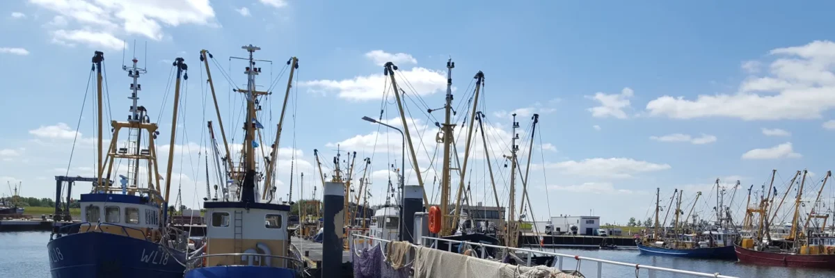 Gebroeders Luden boten