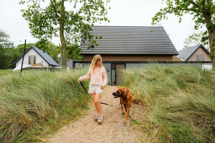 Ridderstee ouddorp duin