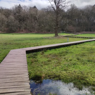 Renkums Beekdal natuurgebied