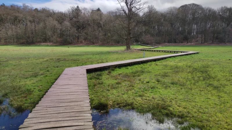 Renkums Beekdal natuurgebied