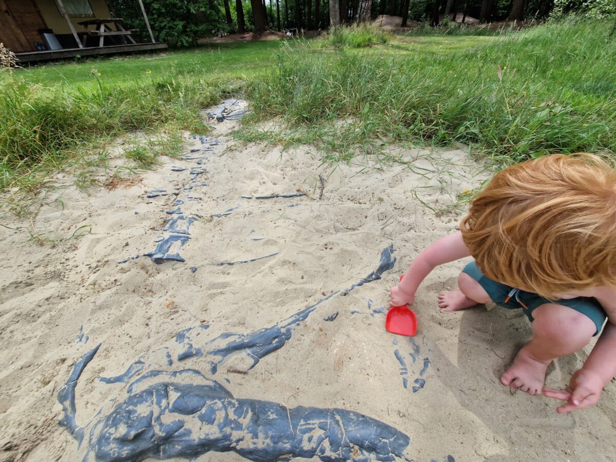 kindvriendelijk RCN de Flaasbloem in Chaam