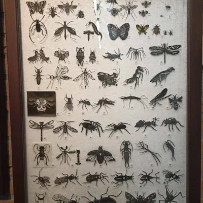 Museum van Papierknipkunst