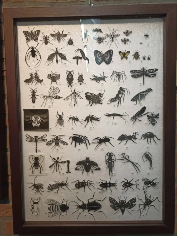 Museum van Papierknipkunst