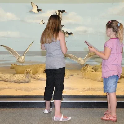 Natuurmuseum Holterberg