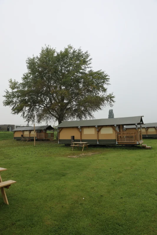 Groen veld met glampingtenten op Soof aan de Rijn