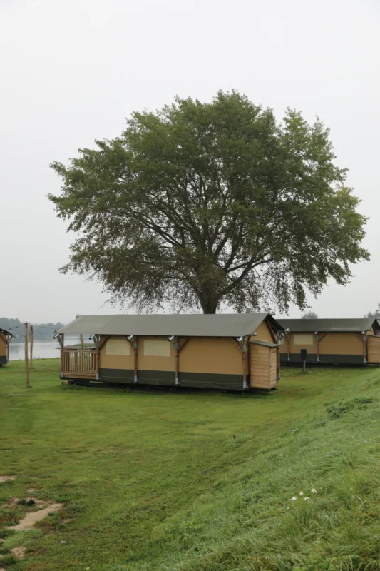 Glampingtent onder een grote boom op Soof aan de Rijn