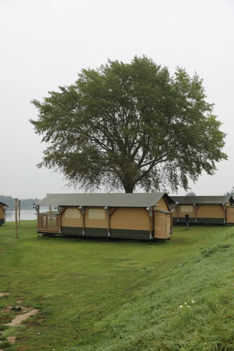 Glampingtent onder een grote boom op Soof aan de Rijn