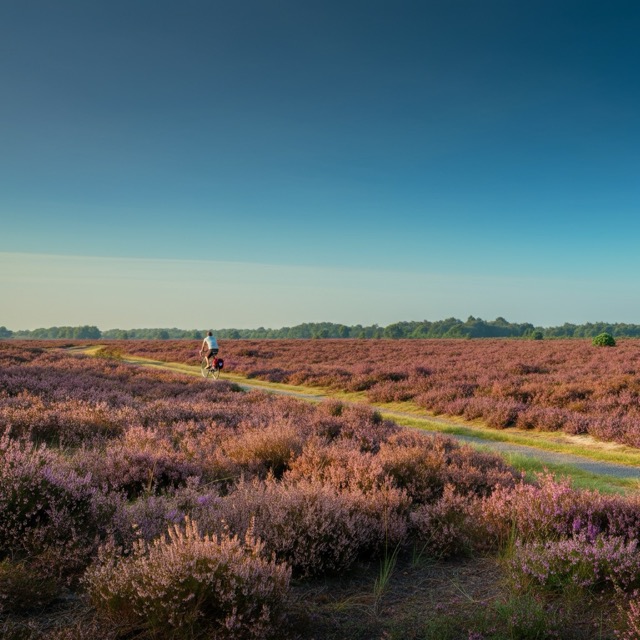 drenthe