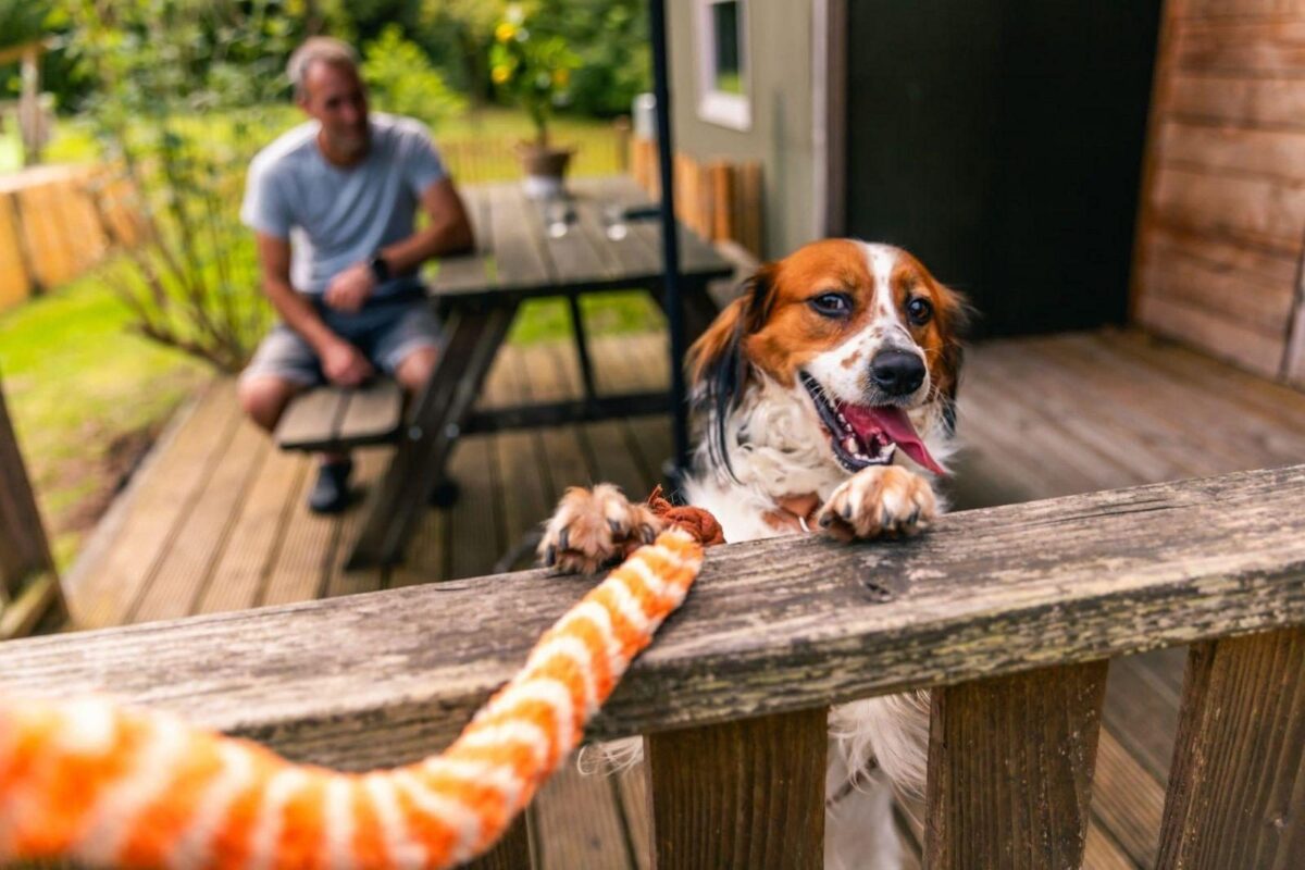 Hondenstrand - hond blij baasje blij