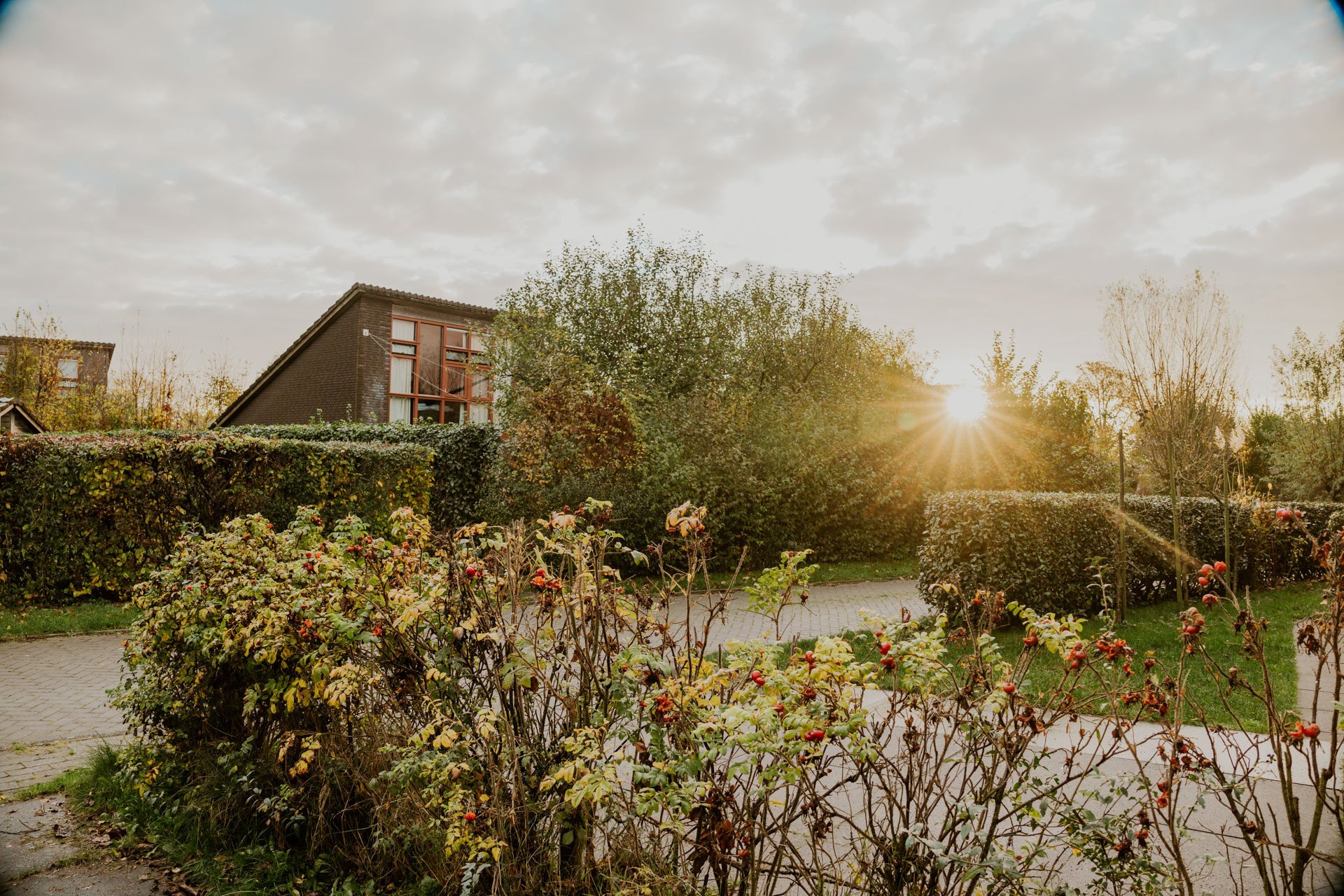 Groene parksetting van Dutchen Buiten Bergen in Schoorl