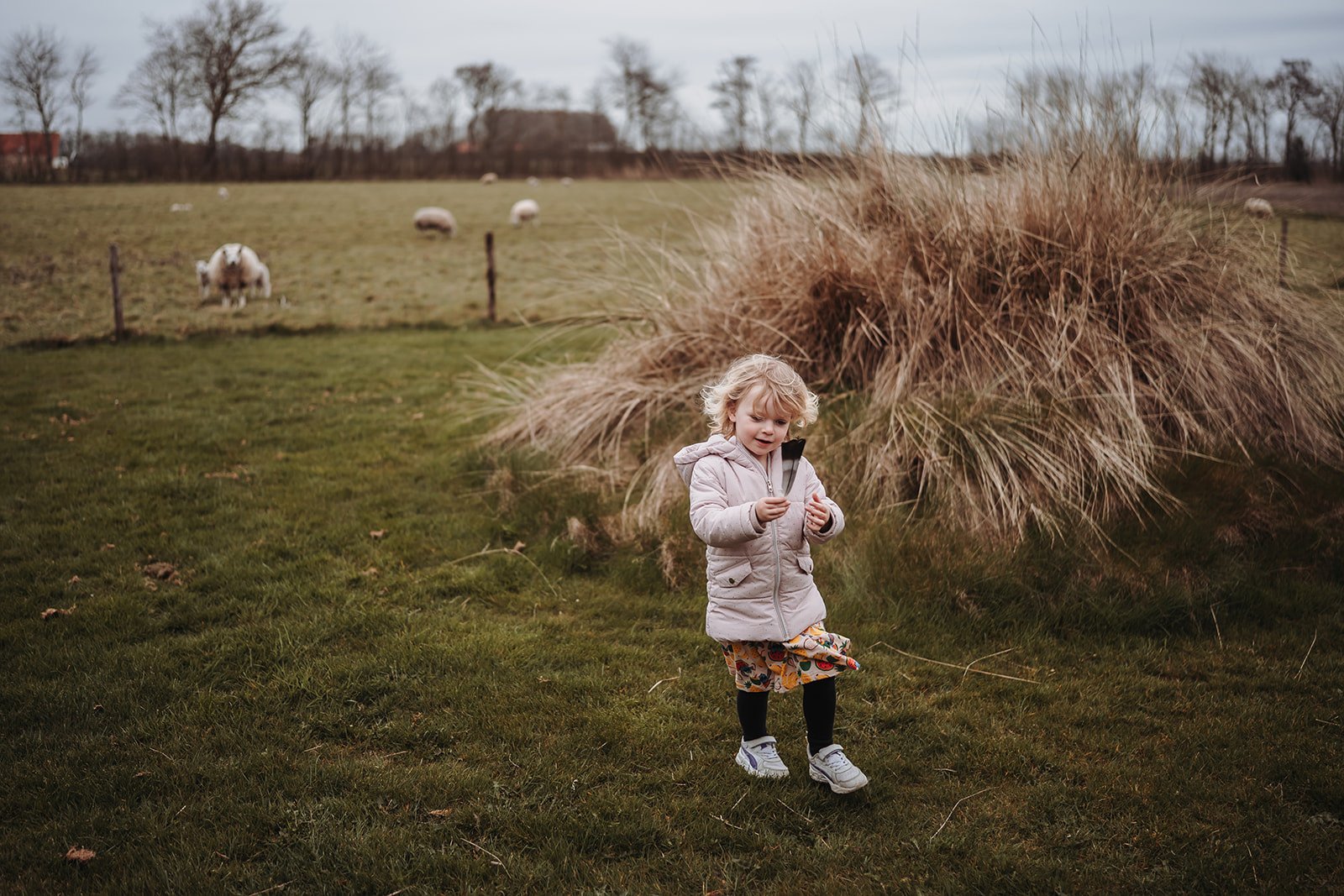 Ruime groene omgeving van Park Waddenduyn op Texel